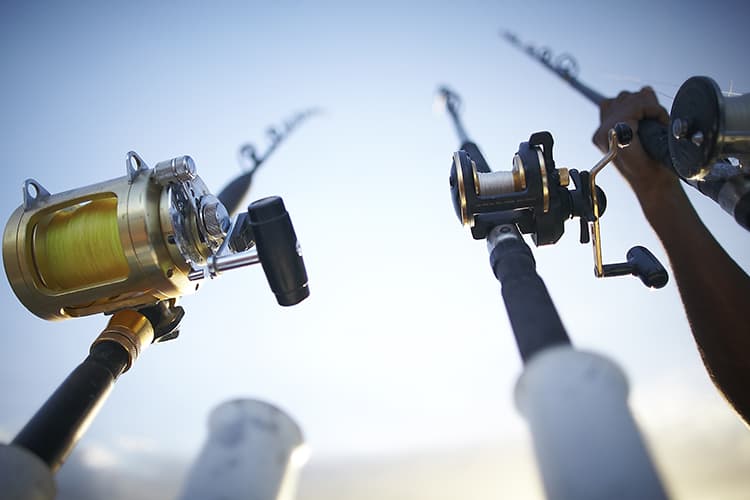 best fishing reel on amazon Top 5 Reels of 2024 Avet Reel Model:HX 5/2 Abu Garcia Ambassadeur C3 Reel Seat Manufacturer__Sea Guide